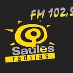 사울레스 라디야스 FM 102.5
