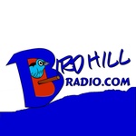 Birdhill ռադիո