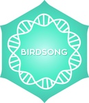 Positivité Radio – Positivité Birdsong
