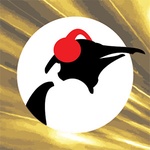 Радио Pinguin – классика Pinguin