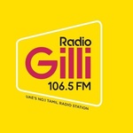 Радио Джили