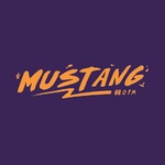 Mustanga 88FM