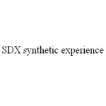 Expérience synthétique SDX