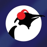 راديو Pinguin - البطريق البلوز