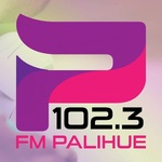 FM Палігуэ 102.3