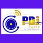 PDJ ռադիո
