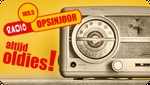 วิทยุ Opsinjoor