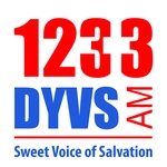 1233 DYVS - DYVS