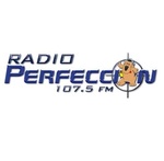 Radio-Perfektion
