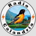 Radio calandre