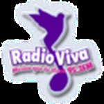 راديو فيفا 95.3 FM