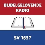ビジベルゲロベンデ ラジオ