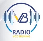 Радио Воз Брунинг