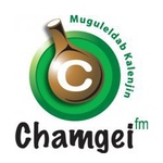 Servicios de medios reales – Chamgei FM