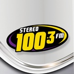 Ստերեո 100.3 FM – XHSD