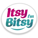 Sony Bitsy FM
