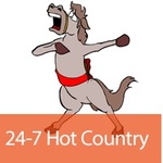 24/7 Niche Radio – 24/7 Hot Country