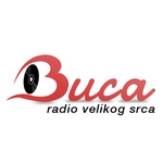 Радио Бука