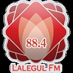 Lalegül FM