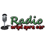 Radio Aripi Spre Cer – Predici