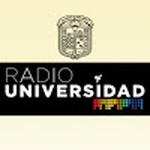 Radio Université de Guanajuato – XHSML