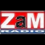 ZaM ریڈیو - Izvornjaci