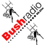 Радіо Буша