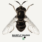 Barfly ռադիո