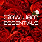 Elements bàsics de Slow Jam