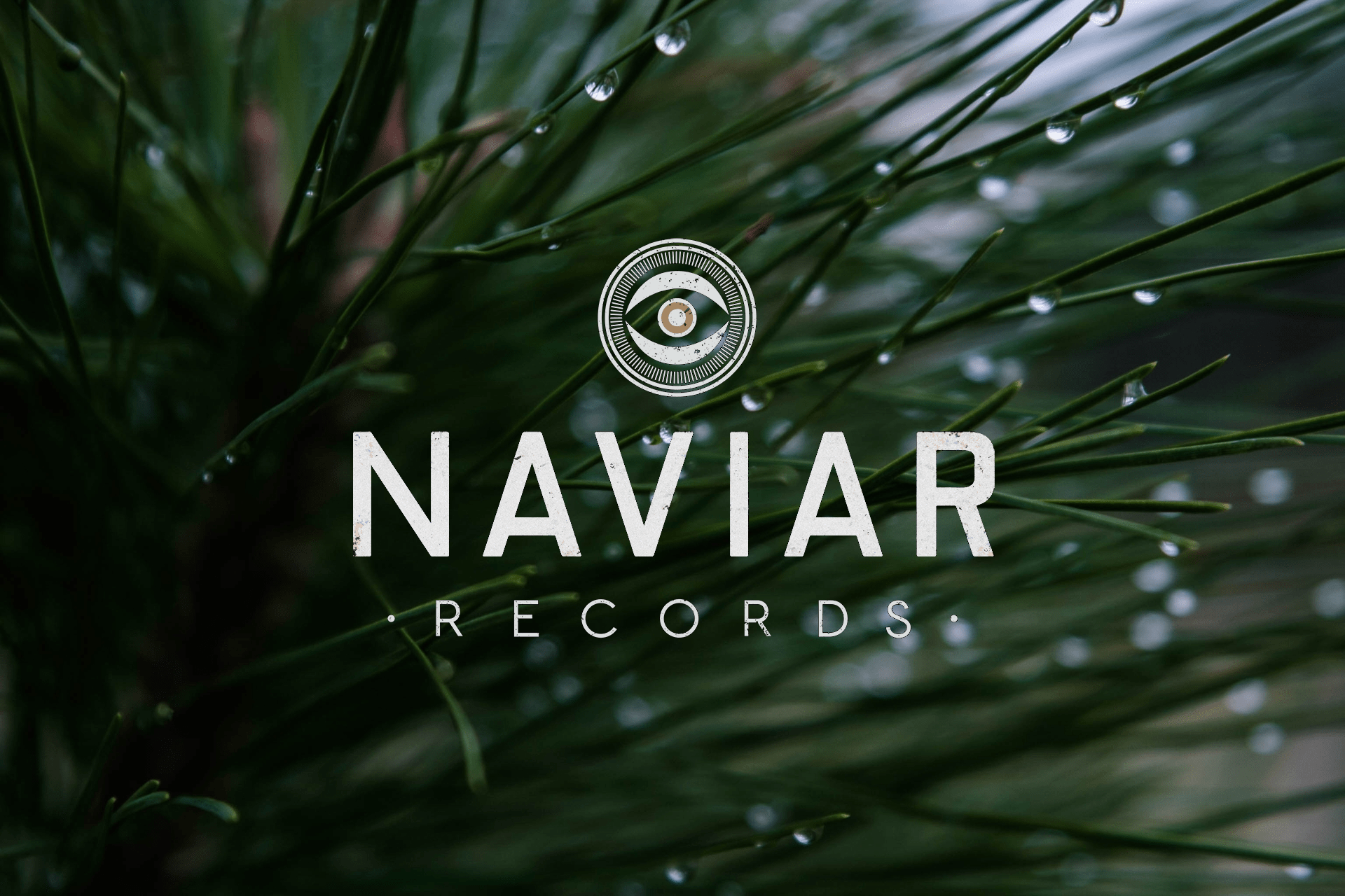 Радио Naviar