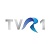 TVR 1 Tv Canlı